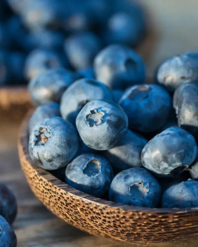 Iomist Verified FSMA 204 Compliant Blueberries Traceability Data