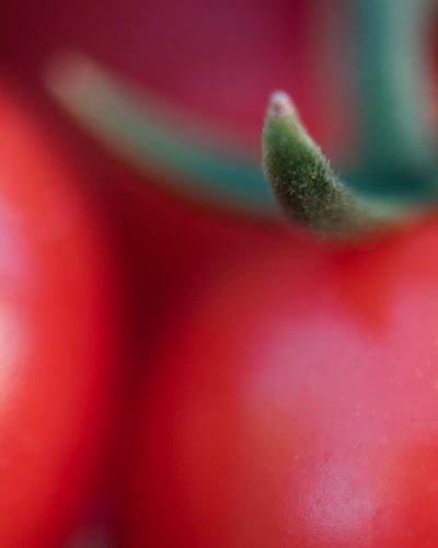 Iomist Verified FSMA 204 Compliant Tomatoes Traceability Data